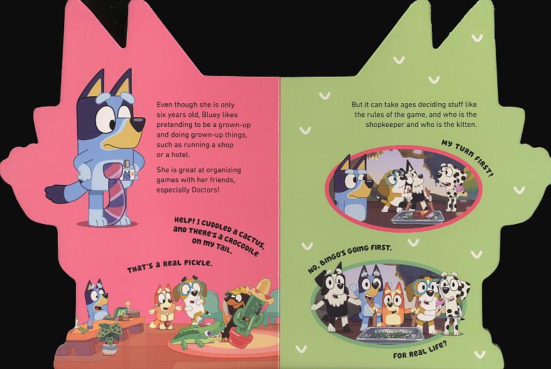 Bluey: All About Bluey