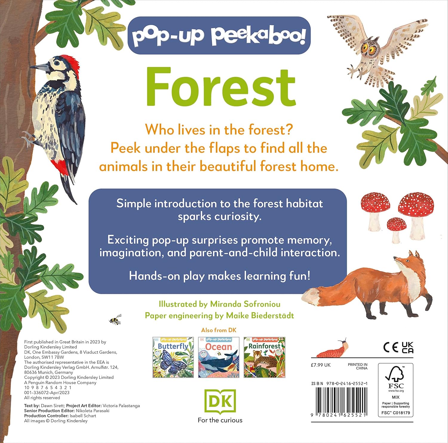 Pop-Up Peekaboo! Forest