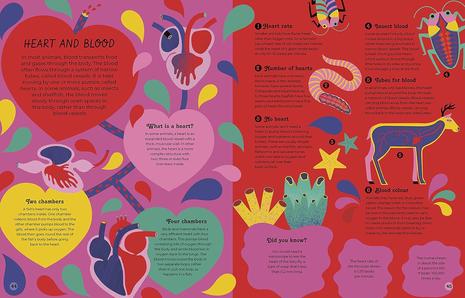 Inside Animals