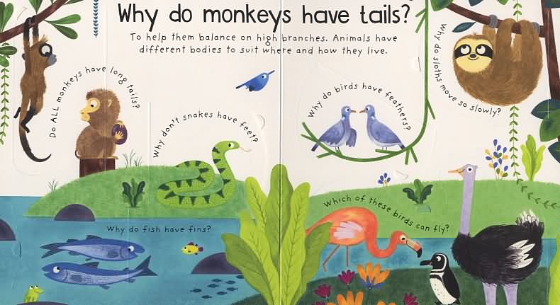 First Questions and Answers: Why Do Tigers Have Stripes?