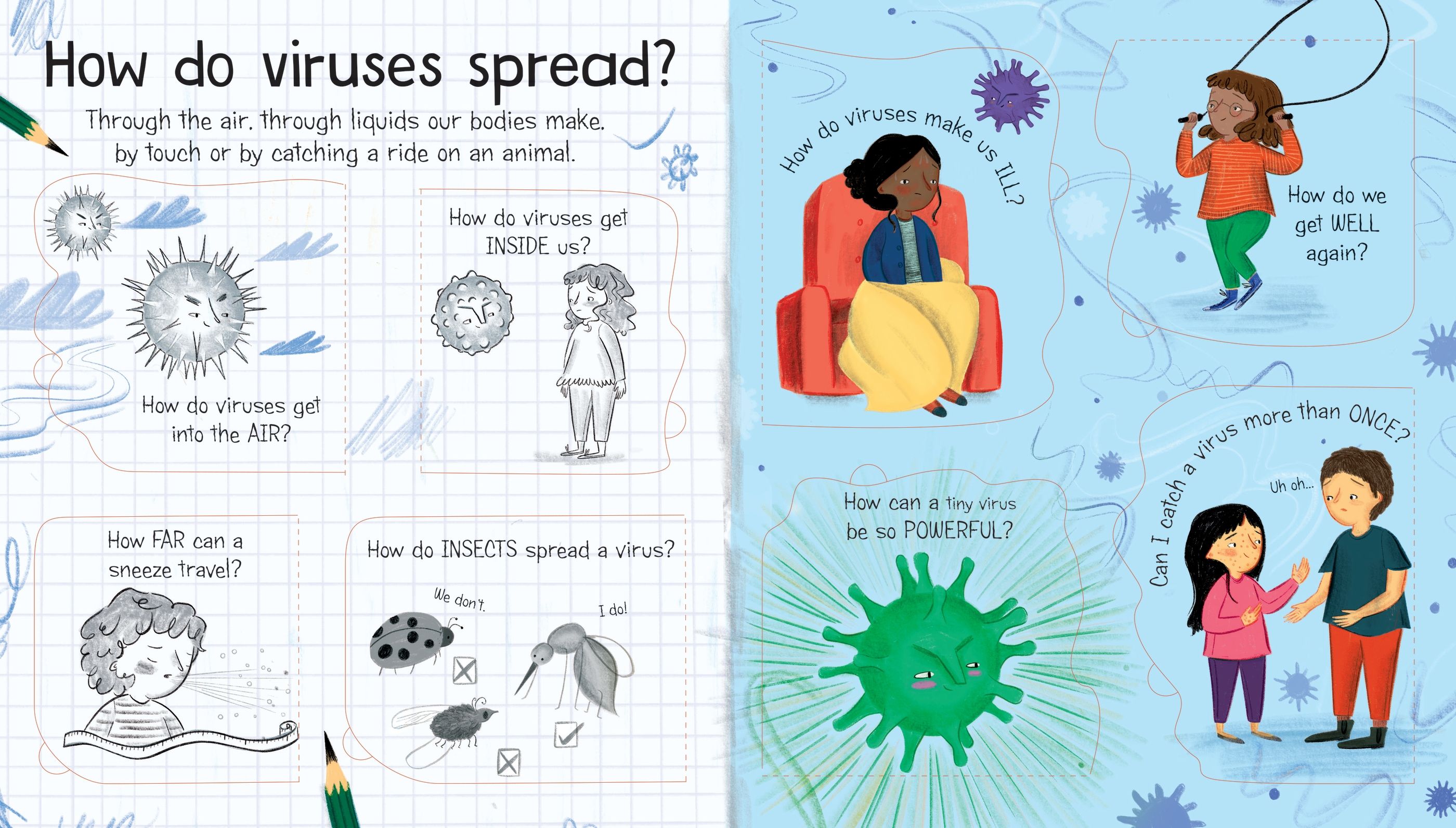First Questions and Answers: What is a Virus?