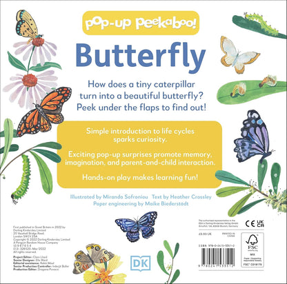 Pop-Up Peekaboo! Butterfly